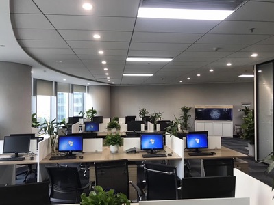 深耕區域，洞察市場 浙江杭鑫經濟信息咨詢的市場調查實踐與價值